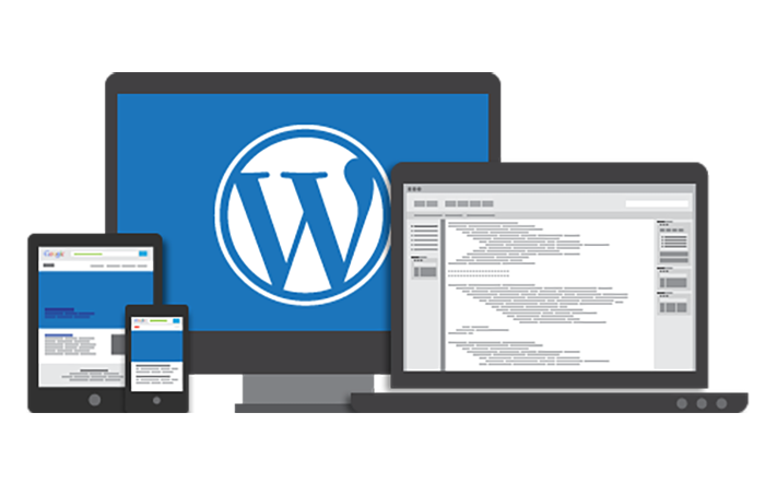 WordPress development agency, WordPress Design &#038; Development